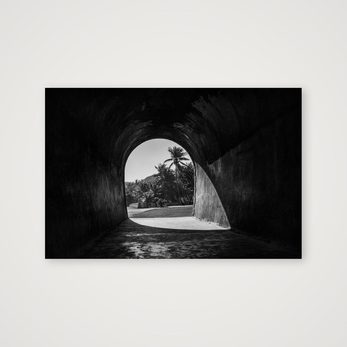 Palms Beyond Guajataca Tunnel — 61×41cm, 24×16" Print only