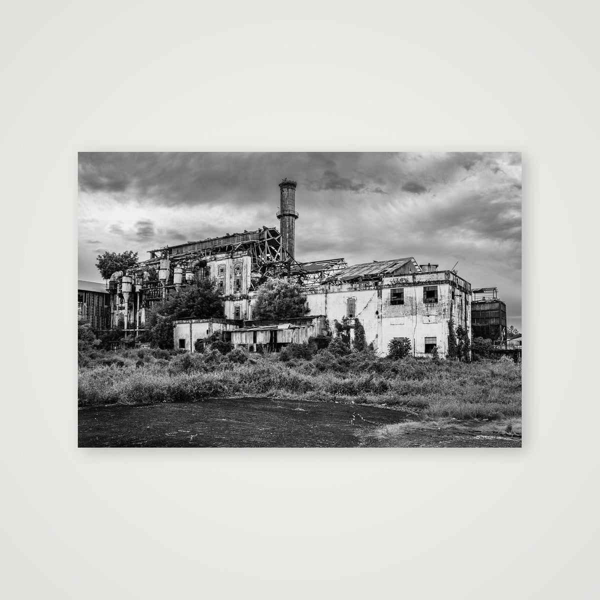 Overgrown Central Coloso — 91×61cm, 36×24" Print only