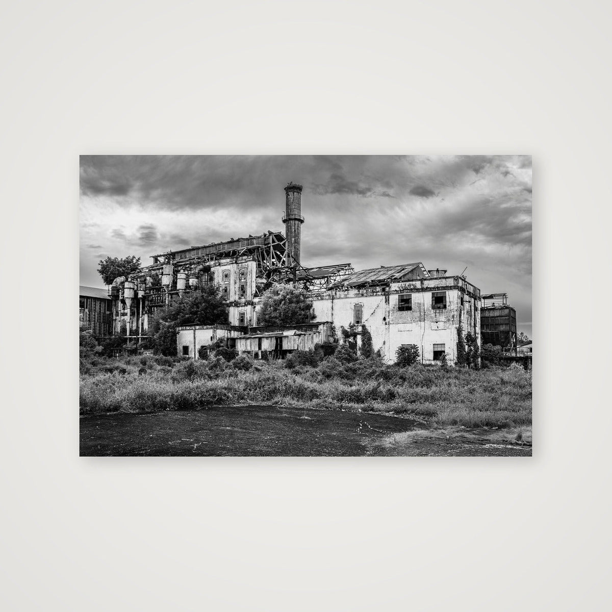 Overgrown Central Coloso — 152×102cm, 60×40" Print only