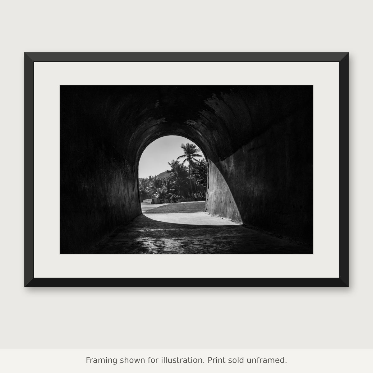 Palms Beyond Guajataca Tunnel black-and-white photograph shown in a frame. Print sold unframed.