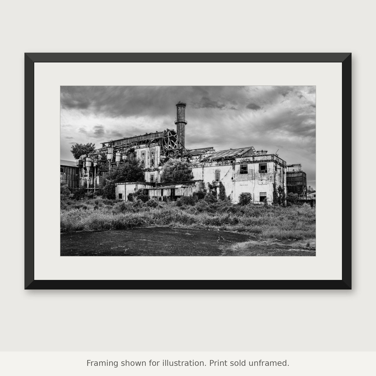 Overgrown Central Coloso black-and-white photograph shown in a frame. Print sold unframed.