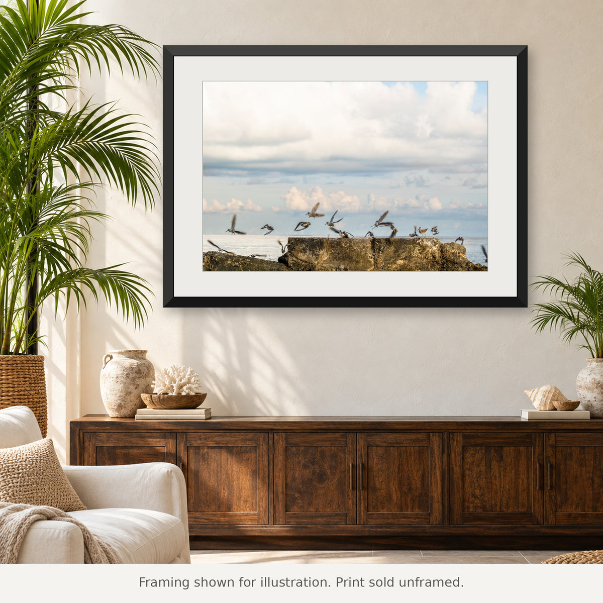 Marbled godwits lifting into flight above a Florida Keys coastal shoreline. Print sold unframed.