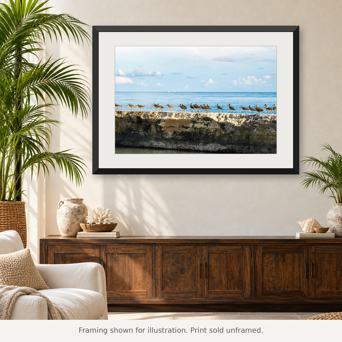 Marbled godwits standing together at the water’s edge along a Florida Keys shoreline. Print sold unframed.
