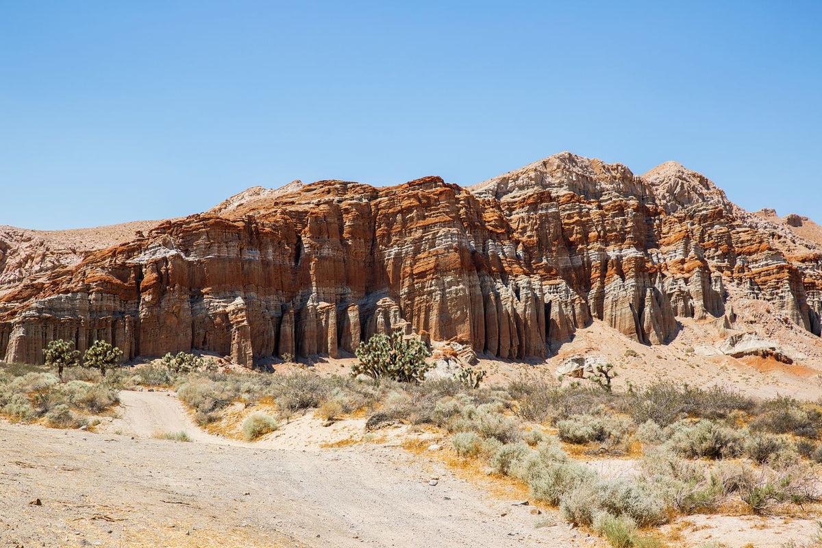 Red rock cliffs above sparse desert vegetation beneath a clear blue sky in the American Southwest.