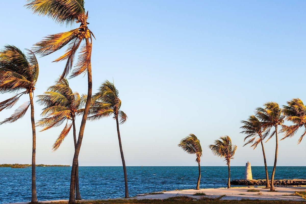 Palm trees framing a small harbor beacon beside blue water in Marathon, Florida Keys.