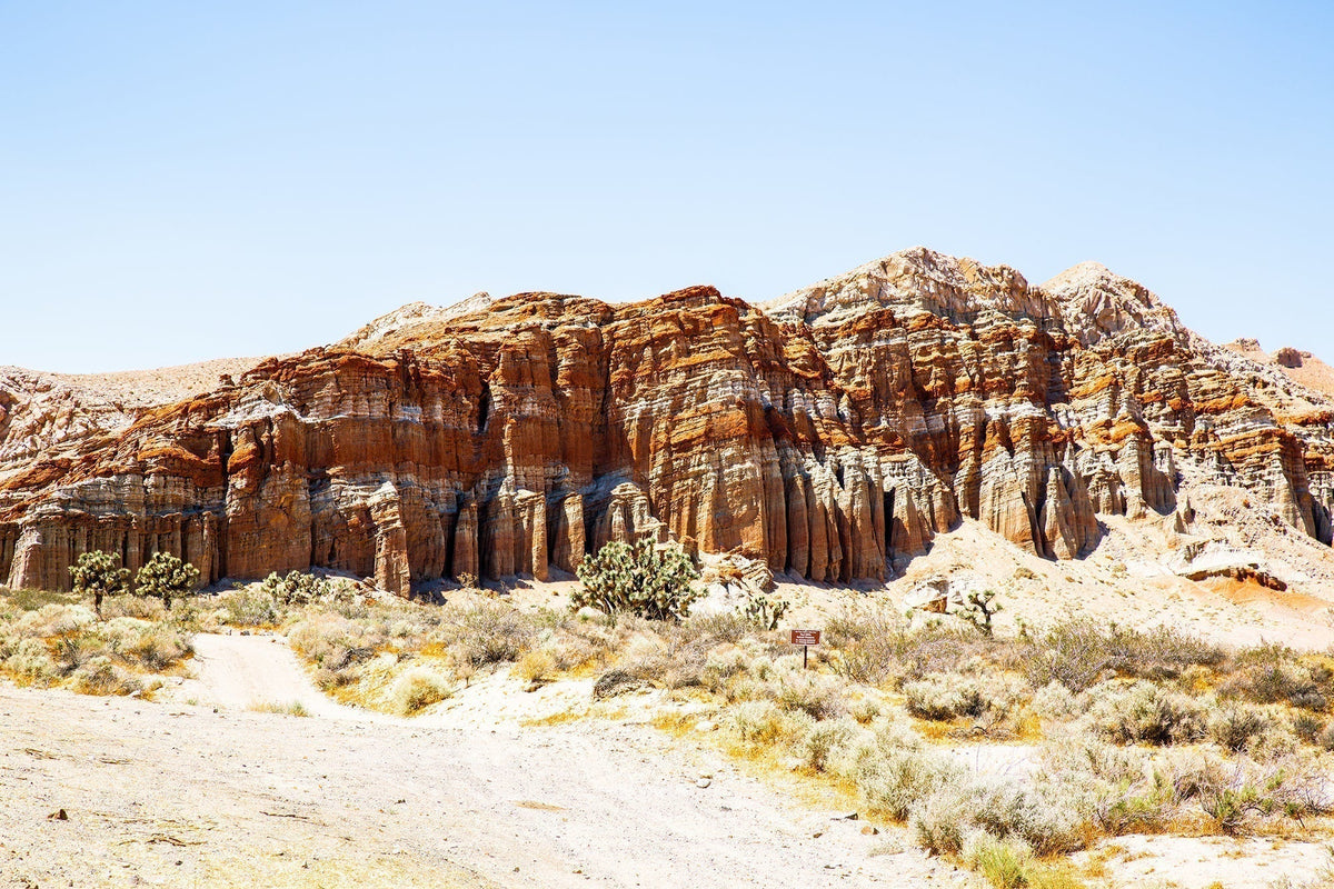 Towering sunlit red rock cliffs rising above sparse desert vegetation in the American Southwest.