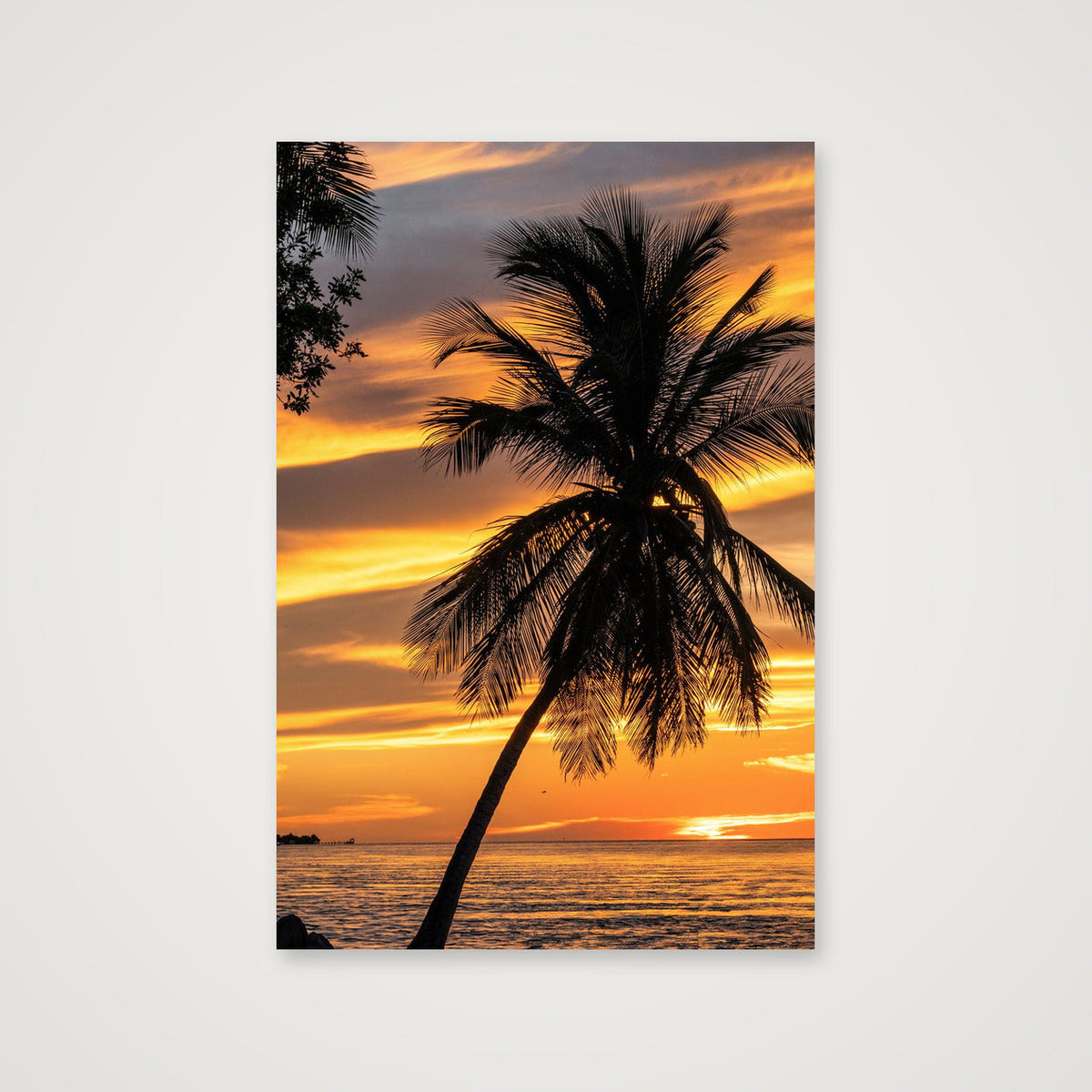 Palm Silhouette at Sunset — 41×61cm, 16×24" Print only
