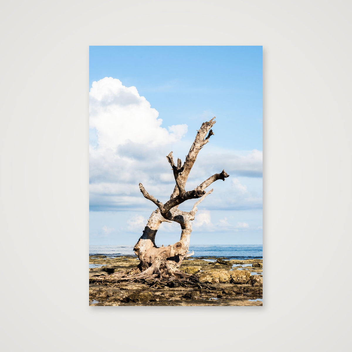 Weathered Sentinel at Low Tide — 41×61cm, 16×24" Print only