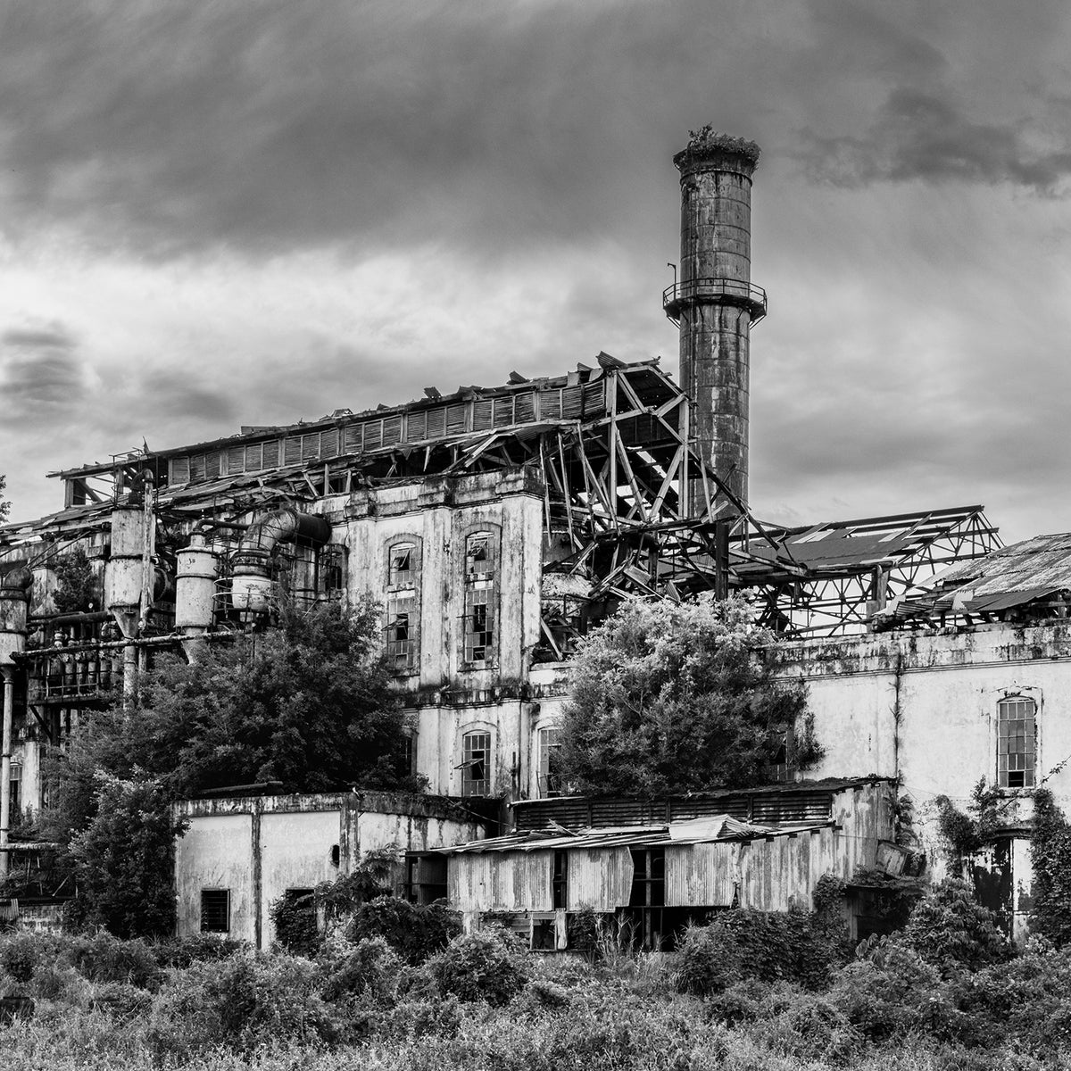 Black-and-white view of overgrown factory buildings and a chimney at the abandoned Central Coloso complex in Aguada, Puerto Rico.