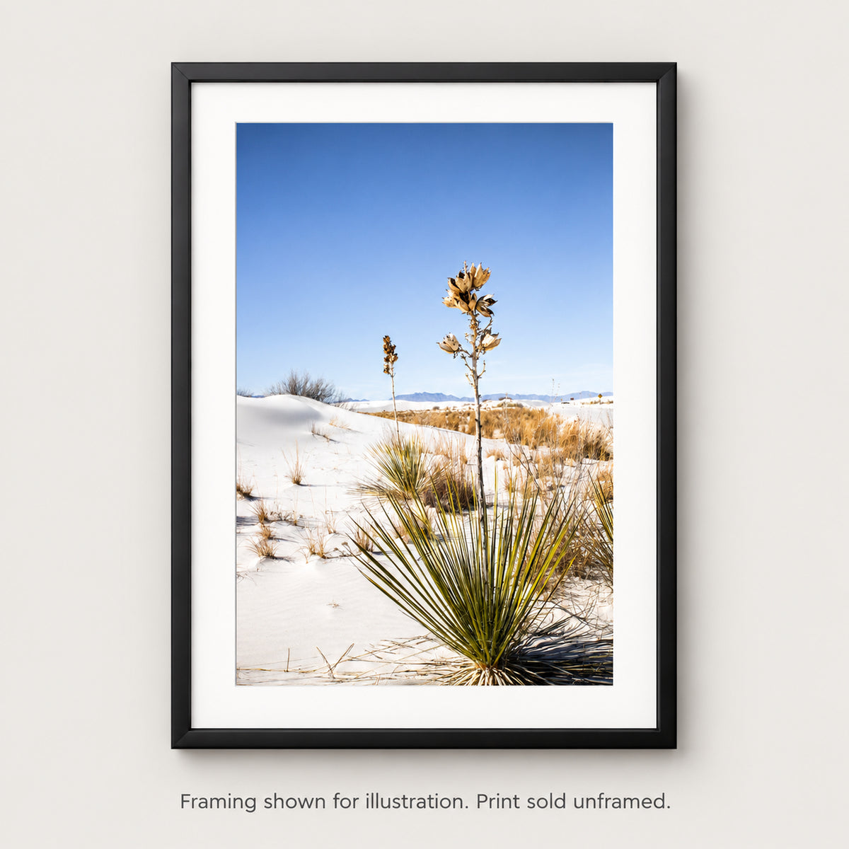 Yucca in White Sands photograph shown in a frame. Print sold unframed.