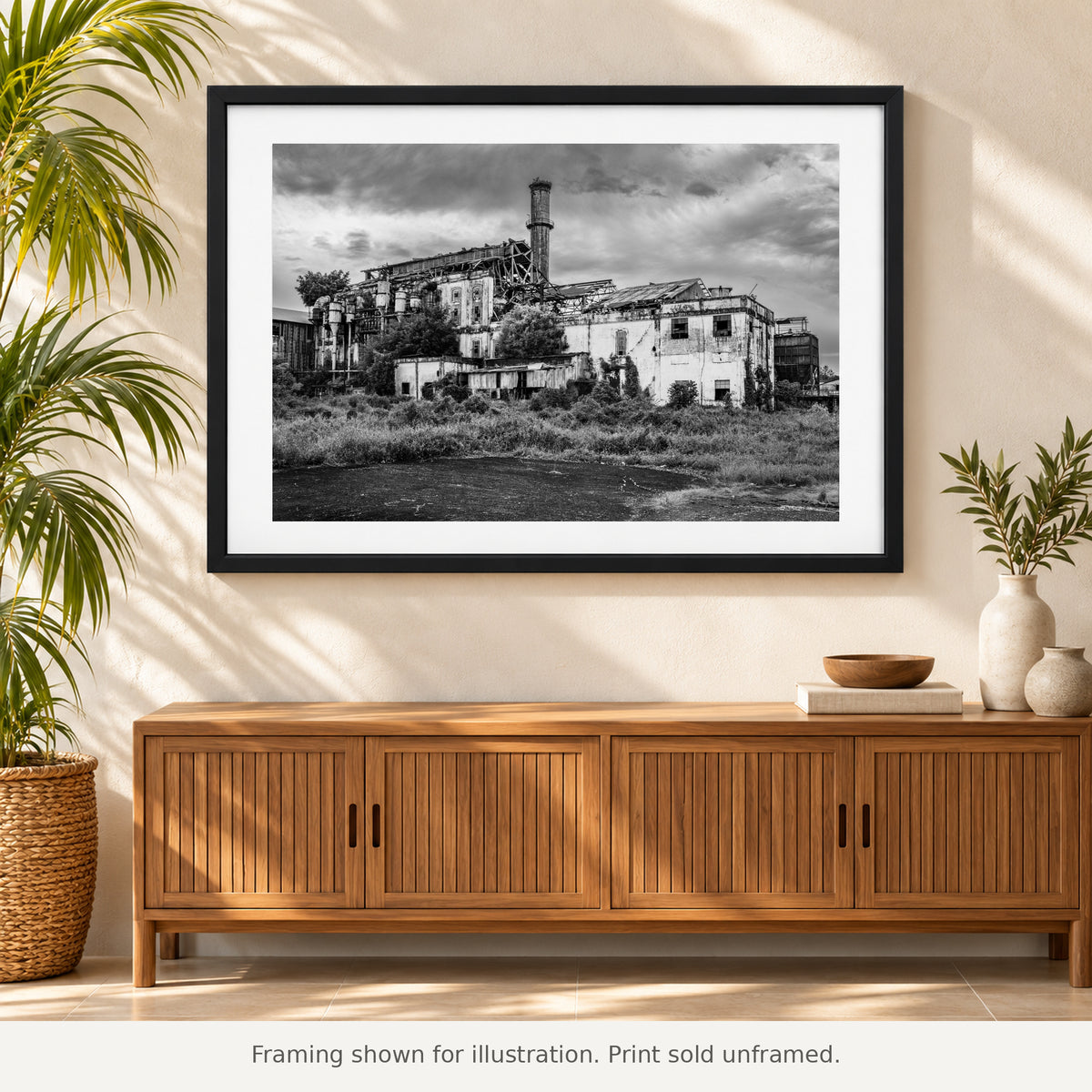 Framed Overgrown Central Coloso black-and-white photograph displayed in an interior setting. Print sold unframed.