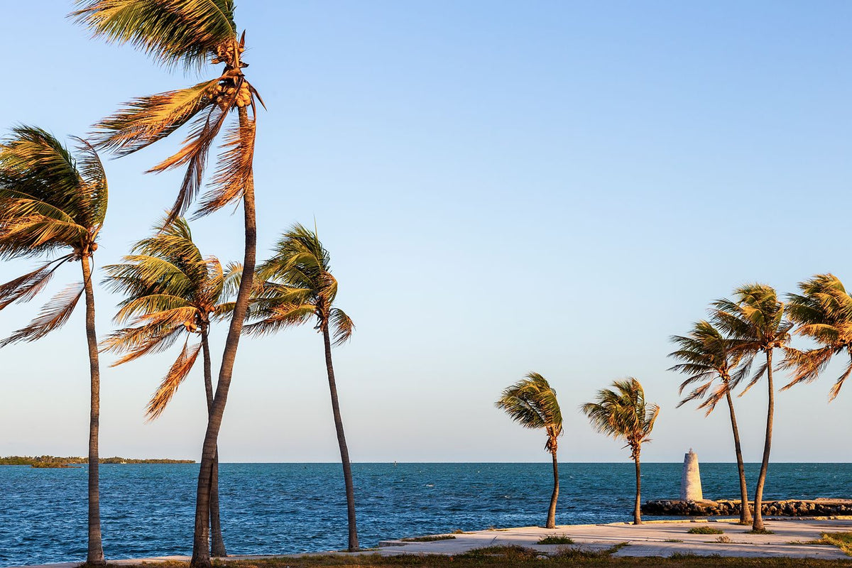 Palm trees framing a small harbor beacon beside blue water in Marathon, Florida Keys.
